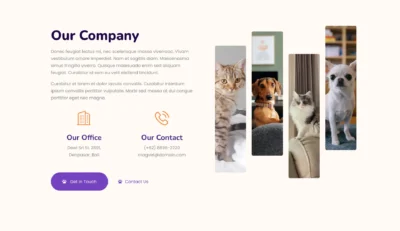 animal-care-clinic-about-section