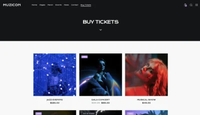 up1529-musician-live-performer-wordpress-website-2