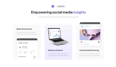 wordpress-social-media-insights-showcase